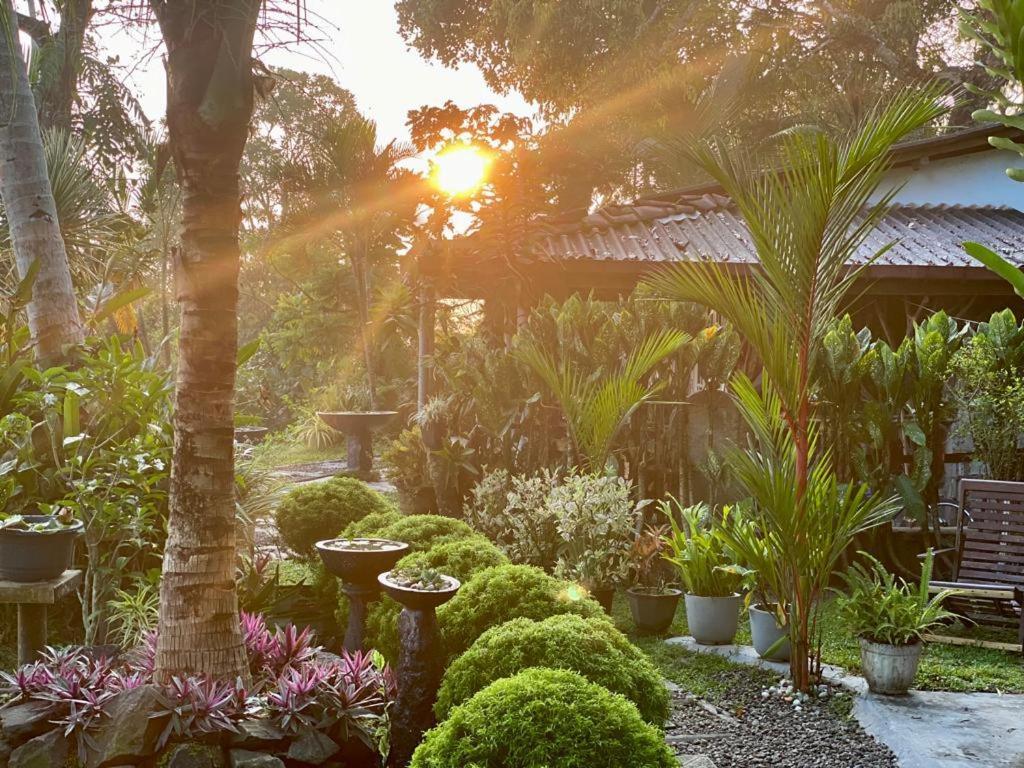 Hathawariya Green View Cabin Talpe Ngoại thất bức ảnh