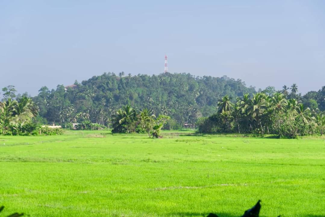 Hathawariya Green View Cabin Talpe Ngoại thất bức ảnh
