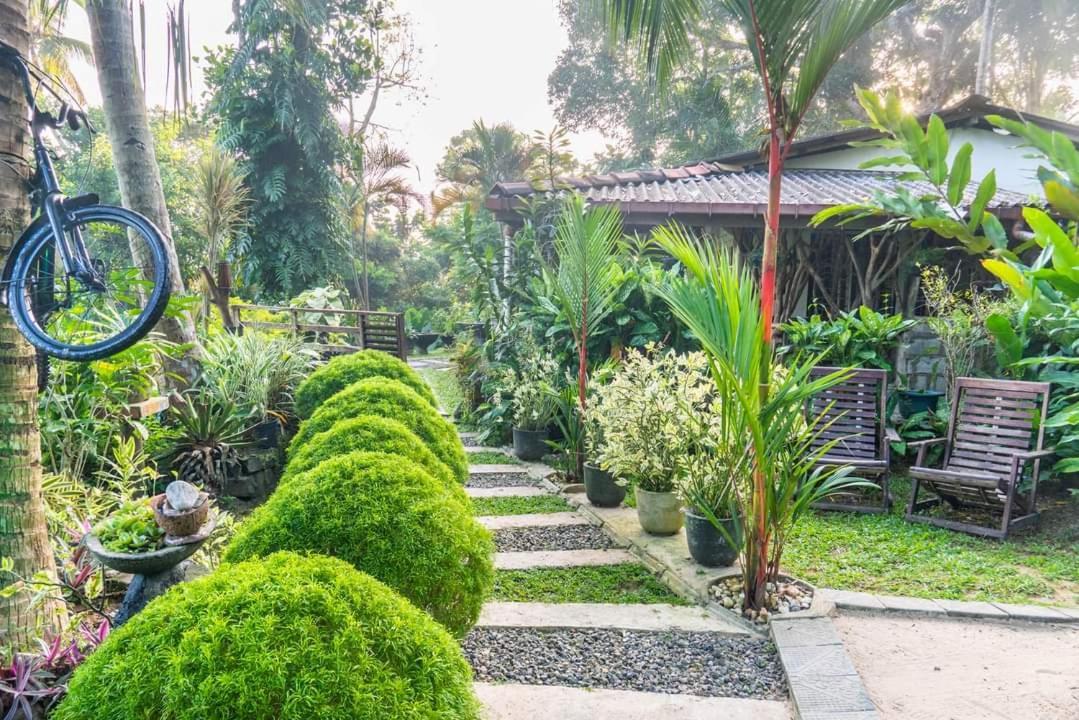 Hathawariya Green View Cabin Talpe Ngoại thất bức ảnh