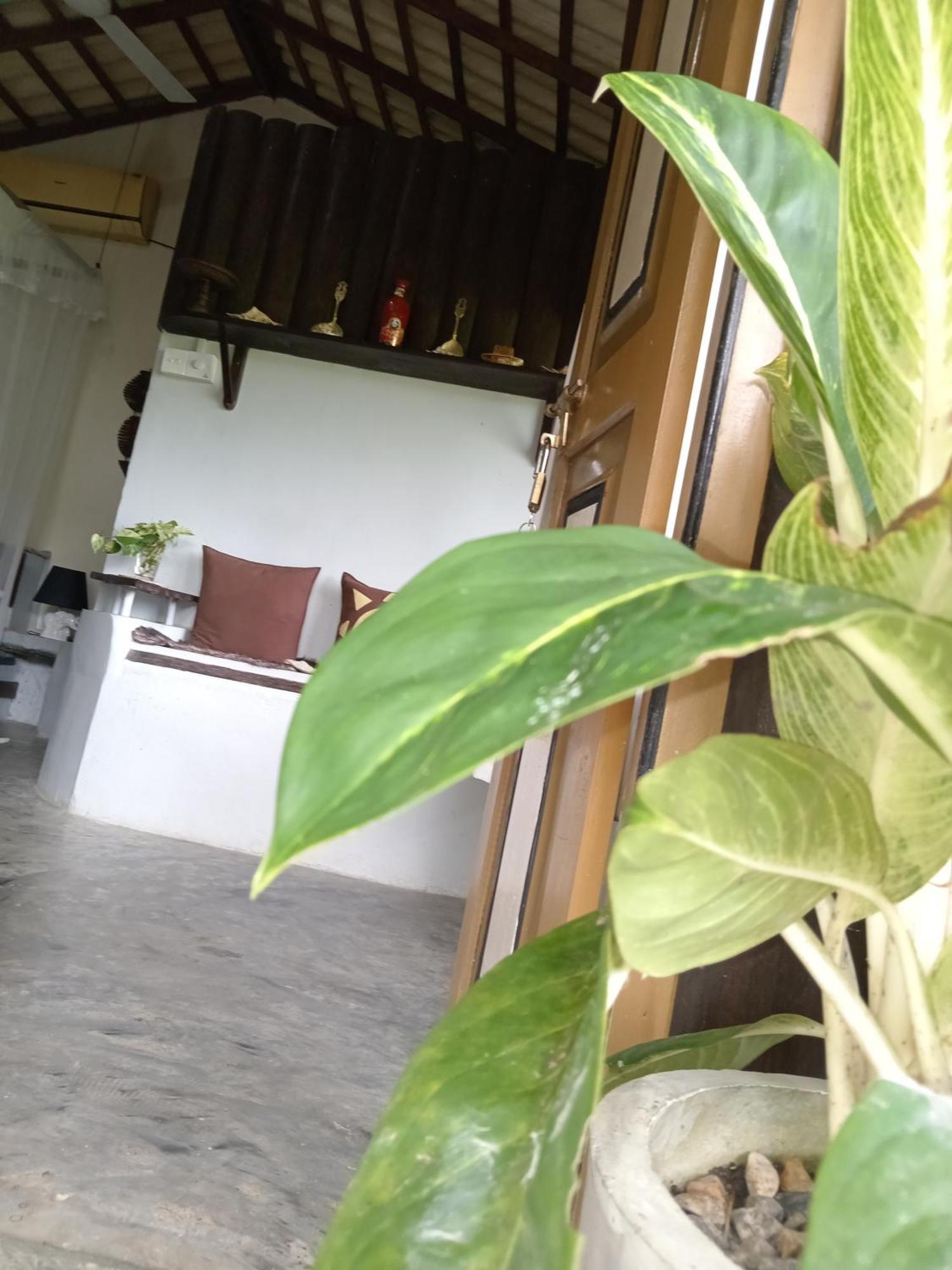 Hathawariya Green View Cabin Talpe Ngoại thất bức ảnh